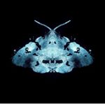 Profile Picture of Micky Moo Holmes (@anniemickymoo) on Instagram