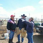 Profile Picture of Todd Stacy Tiensvold (@toddtiensvold) on Instagram