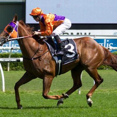 Profile Picture of Rocky Alvarez (@Tbred88) on Twitter