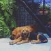 Profile Picture of Bella Billy (@rielstore) on Pinterest