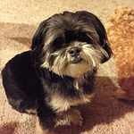 Carol Headman - Flickr Profile Picture of Carol Headman (@carolheadnan33) on Flickr