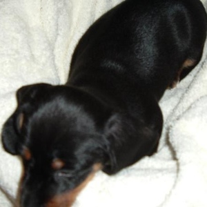 Profile Picture of Sharon Cheek (@sharoncheek) on Myspace