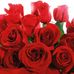 Profile Picture of Anchal Jain (Priya) (@anchal.jain.568) on Facebook