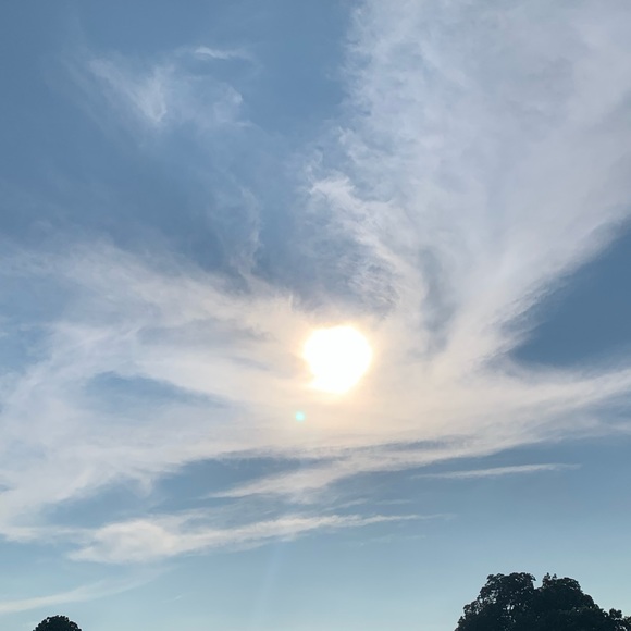 Profile Picture of Elizabeth Herens (@lizthewiz888) on Poshmark