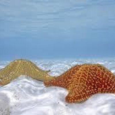 Profile Picture of Cassidy Gilbert (@cassidyyox) on Twitter