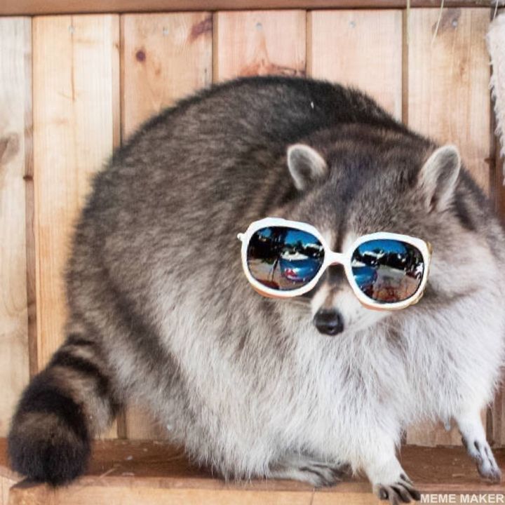 Profile Picture of FreddyFreddyFredFred (@colinfredericks) on Tiktok