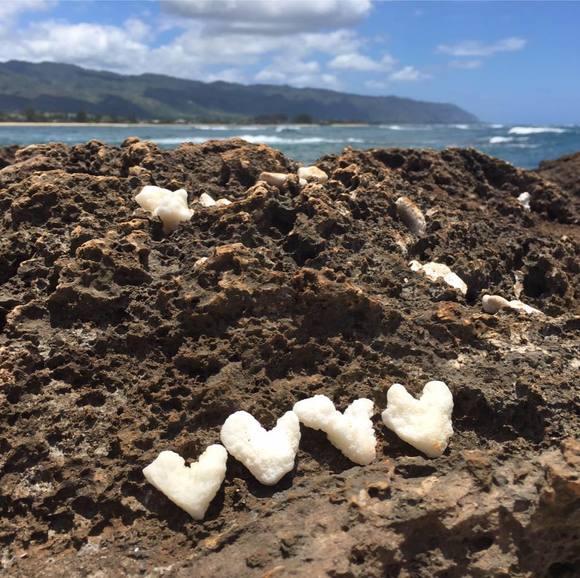 Profile Picture of Katie Biechler (@kbiechler) on Poshmark