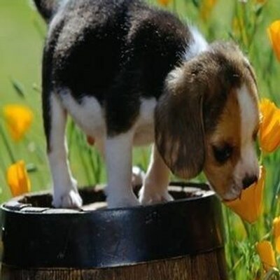 Profile Picture of Kayleigh Stack (@KayleighAStack) on Twitter