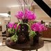 Profile Picture of Abdool Motahlib (@abdool.motahlib) on Facebook