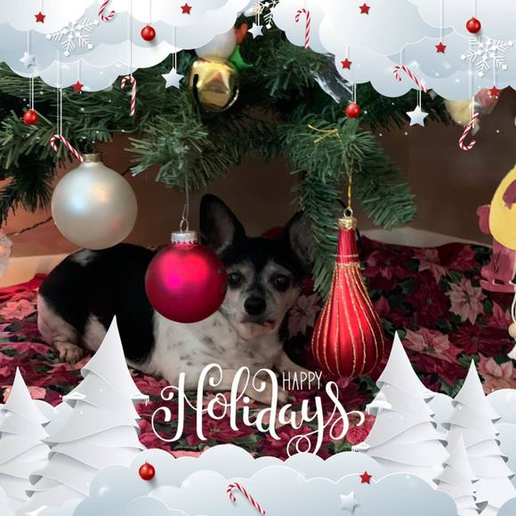 Profile Picture of Peggy Helmers hughes (@hugs2335) on Poshmark