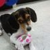 Profile Picture of Deb Snell (@deb.snell.77) on Facebook
