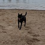 Profile Picture of Amit Freeman (@freemanamit) on Instagram