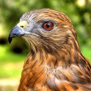 Profile Picture of Michael Harvey (@Michael-Harvey) on Facebook