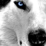 Profile Picture of Garth Harrison (@garthharrison) on Instagram