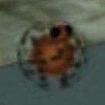 Profile Picture of Chester Deorocki IV (@chestersd4) on Instagram