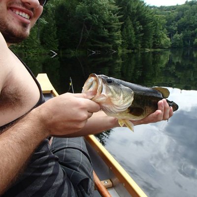 Profile Picture of Brandon Labonte (@Lahbuntay) on Twitter