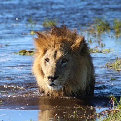 Profile Picture of Andrew McGlade (@AndrewMcGlade) on Twitter