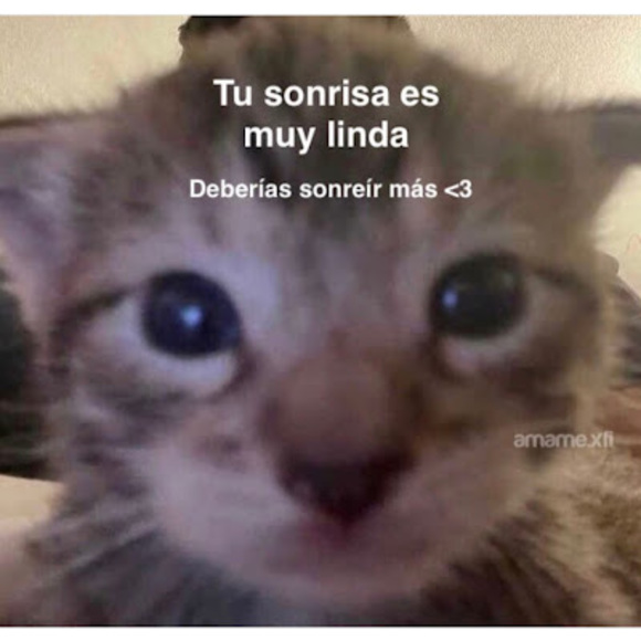 Profile Picture of Nicolas Polanco (@nicolaspolanco) on Poshmark