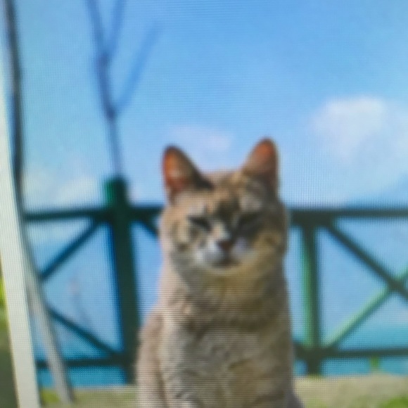 Profile Picture of Cassandra Whitney (@cassandrawhitn) on Poshmark