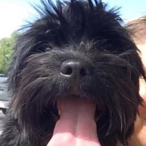 Profile Picture of Jamie Levieux (@jme_levieux) on Poshmark