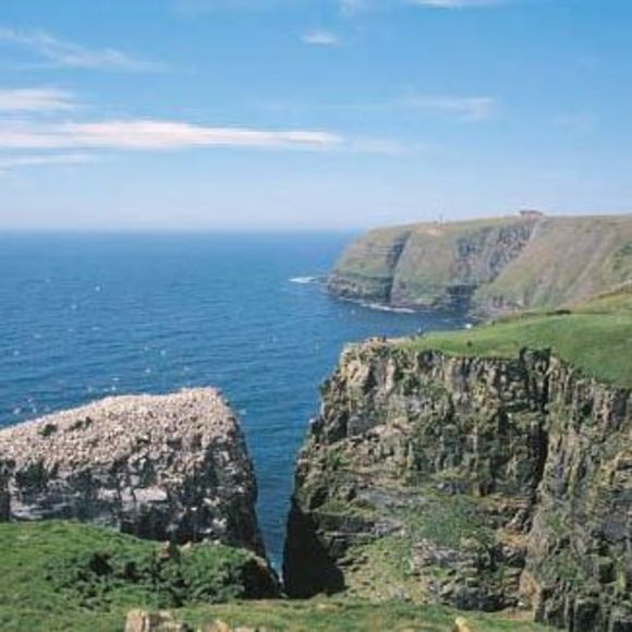 Profile Picture of Judy Prouse (@jnprouse) on Poshmark