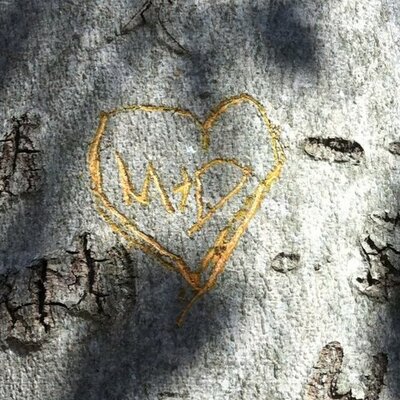 Profile Picture of David Carney (@BigDaveMB) on Twitter