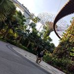 Profile Picture of David A. Melero (@david.melero.395) on Instagram