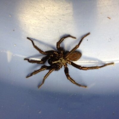 Profile Picture of Joe Ranney (@WBUMarietta) on Twitter