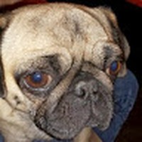 Profile Picture of Randy Raney (@randy-raney-6) on Quora