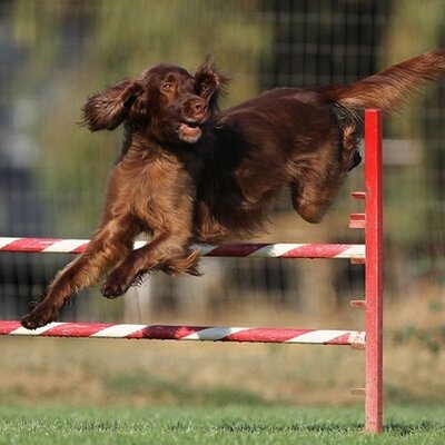 Profile Picture of Sheryl Wall (@eyeonthecatch) on Twitter