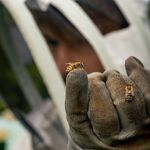 Profile Picture of Jacopo Francesco Bob Carollo (@francesco_jacopo_carollo) on Instagram