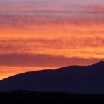 Profile Picture of Alexa Reese (@alexa_reese_6) on Instagram