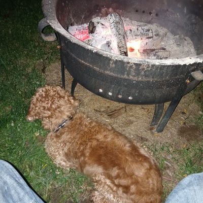 Profile Picture of Matt Kinsley (@MattKinsley2) on Twitter