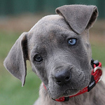 Profile Picture of tdierikx (@tdierikx) on Flickr