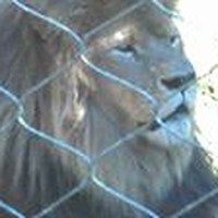 Profile Picture of David Branagan (@david-branagan-1) on Quora