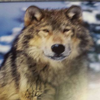 Profile Picture of Anton Pfeuffer (@anton.pfeuffer.5) on Facebook