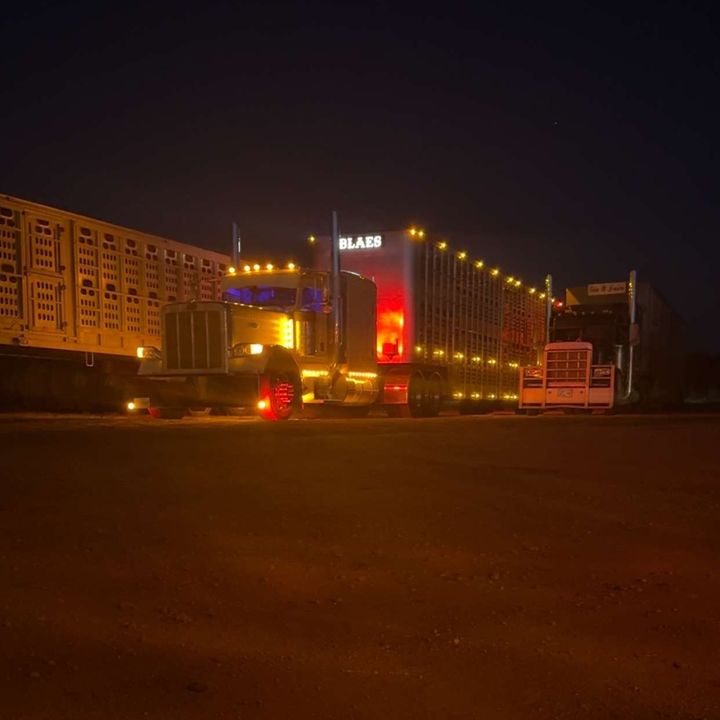 Profile Picture of alex.shipman (@alex.shipman) on Tiktok