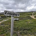 Profile Picture of Sonja Gundersen (@sonja.gundersen.31) on Instagram