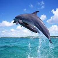 Profile Picture of Timothy Carpenter (@timothy-carpenter-6) on Quora
