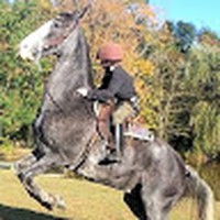 Profile Picture of Sarah Embry (@sarah-embry-6) on Quora