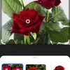 Profile Picture of mohammad sajjad (@sj1958sjd) on Tiktok