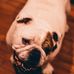 Profile Picture of Terry Ludwig (@terry.ludwig.1276) on Facebook