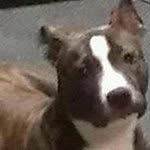 Profile Picture of John Hageman (@johnhageman) on Instagram