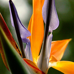 Profile Picture of Kris Wilson (@krismerri) on Flickr