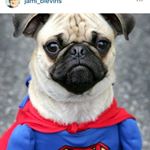 Profile Picture of james blevins (@james_blevins_spam) on Instagram