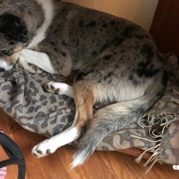 Liam Davis - Poshmark Profile Picture of Liam Davis (@liamdavis214) on Poshmark