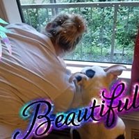 Profile Picture of Casey Stamper (@casey-stamper-4) on Quora