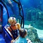 Profile Picture of Whitney Gullett (@gullettwhitney) on Instagram