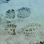 Profile Picture of Eric Raymond (@lesaschindler) on Instagram