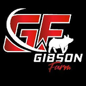 Profile Picture of Craig Gibson (@craiggibson1101) on Youtube